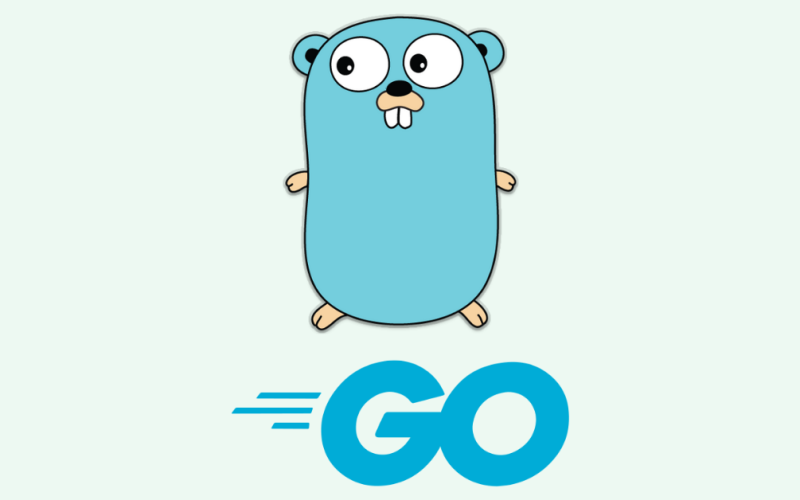  go install go tyooe